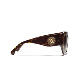 Butterfly Sunglasses CH5550