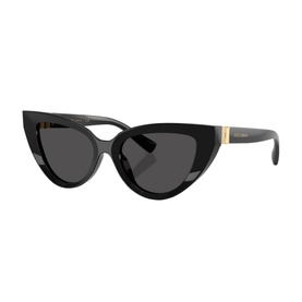 Cat Eye Sunglasses DG4497