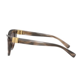 Cat Eye Sunglasses DG4497