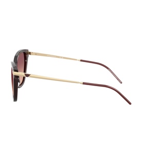 Cat Eye Sunglasses EA4251