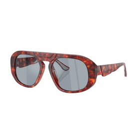 Pillow Sunglasses FH2014U