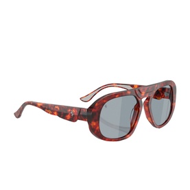 Pillow Sunglasses FH2014U