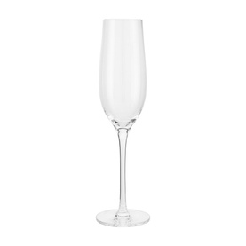 Champagne Glass 260ml, Set of Four