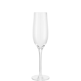 Champagne Glass 260ml, Set of Four