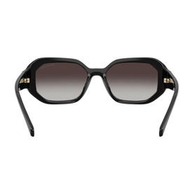 Irregular Sunglasses MK2240U