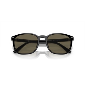 Square Sunglasses PH4208U