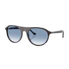 Square Sunglasses RB2215