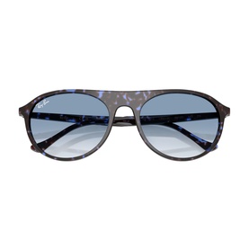 Square Sunglasses RB2215