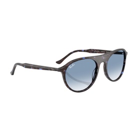 Square Sunglasses RB2215