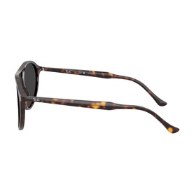 Square Sunglasses RB2215