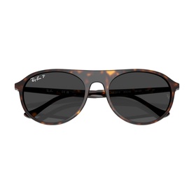 Square Sunglasses RB2215