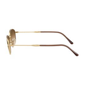 Irregular Sunglasses RB3749