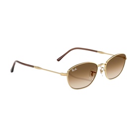 Irregular Sunglasses RB3749