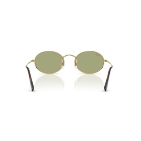 Oval Sunglasses RB3547