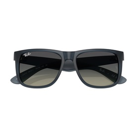 Square Sunglasses RB4165