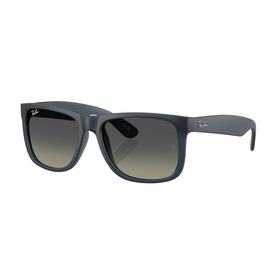Square Sunglasses RB4165