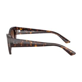 Irregular Sunglasses RB4430