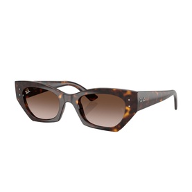 Irregular Sunglasses RB4430