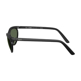 Pillow Sunglasses RB4453