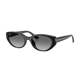 Pillow Sunglasses RB4457D