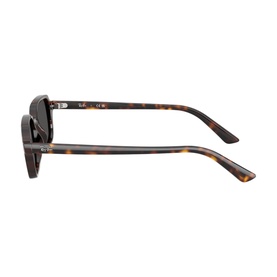 Pillow Sunglasses RB4455