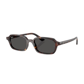 Pillow Sunglasses RB4455