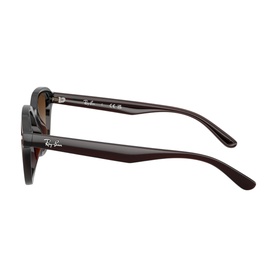 Square Sunglasses RB4458D