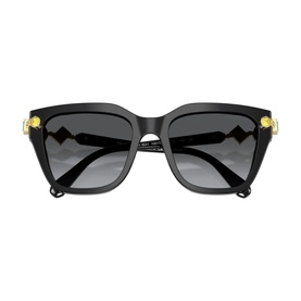 Irregular Sunglasses SK6041