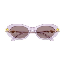 Oval Sunglasses SK6042