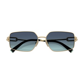 Rectangle Sunglasses TF3111