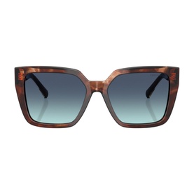 Square Sunglasses TF4235