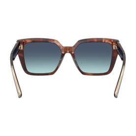 Square Sunglasses TF4235