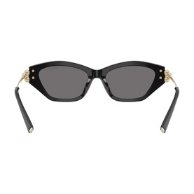 Cat Eye Sunglasses TF4231U