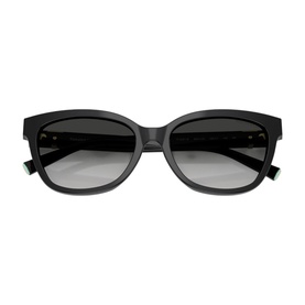 Cat Eye Sunglasses TF4237B