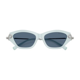 Cat Eye Sunglasses TF4231U