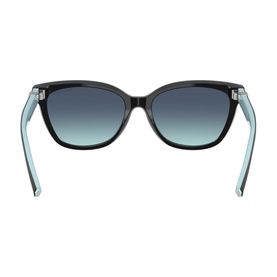 Cat Eye Sunglasses TF4237B