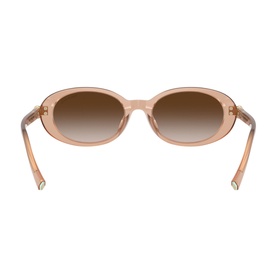 Oval Sunglasses TF4242D