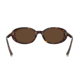 Oval Sunglasses TF4242D