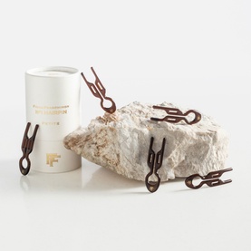 Fiona Franchimon N&ordm;1 Hairpin Petite in Brown, set of decorative brown hair clips arranged on a stone beside white branded packaging.