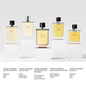 Terre d&rsquo;Herm&egrave;s Eau de Parfum Intense