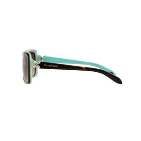 Rectangle Sunglasses TF4047B