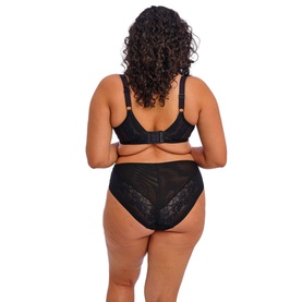 Nerina High Leg Briefs