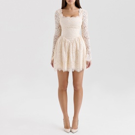 Fae Lace Mini Dress