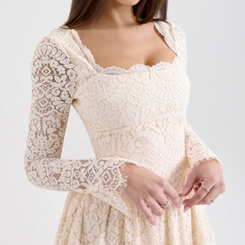 Fae Lace Mini Dress