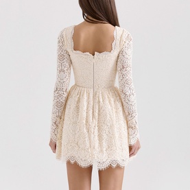 Fae Lace Mini Dress