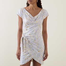 Naples Snake Print Mini Dress