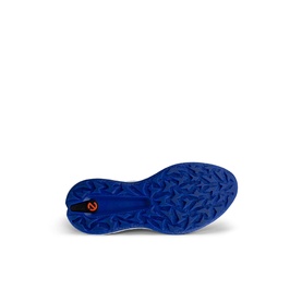 Biom H5 Golf Shoes