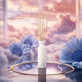Dream Fragrance Sticks