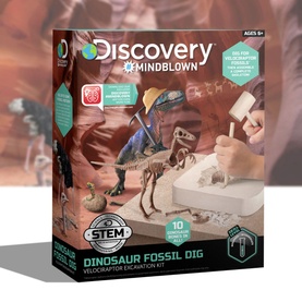 Discovery&trade; Mindblown Dinosaur Fossil Dig Excavation Kit