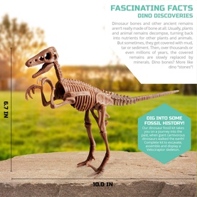 Discovery&trade; Mindblown Dinosaur Fossil Dig Excavation Kit